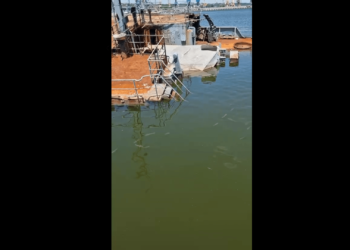 Кто хочет на рыбалку?