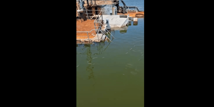 Кто хочет на рыбалку?