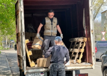 «Дельфины»