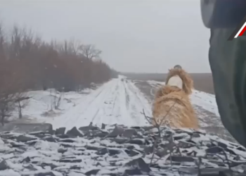 Героический 291 полк в деле!