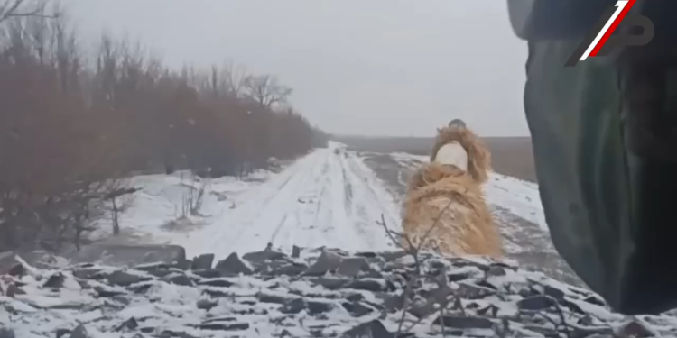 Героический 291 полк в деле!