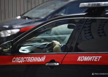 Следователи выявили хищение при ремонте стадиона имени Исинбаевой