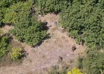 В Курской области уничтожили 16 украинских штурмовиков