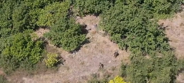 В Курской области уничтожили 16 украинских штурмовиков