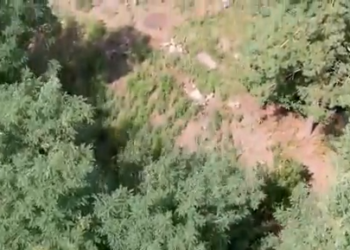 В Курской области уничтожили новую группу десантников ВСУ