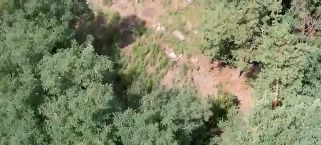 В Курской области уничтожили новую группу десантников ВСУ