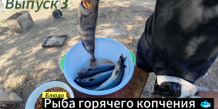 Выпуск 3️⃣ РЫБА горячего копчения в зоне СВО