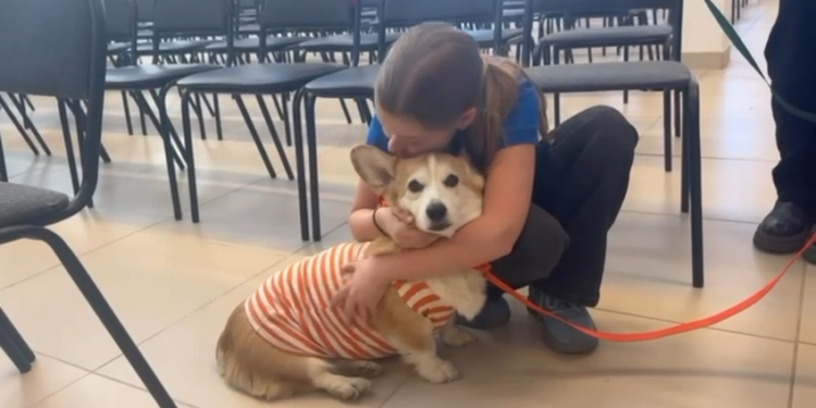 Семьи офицеров военного следственного отдела по Балашихинскому гарнизону в составе добровольческого волонтерского движения Корги отряд “Маруся и друзья” организовали трогательное  событие.