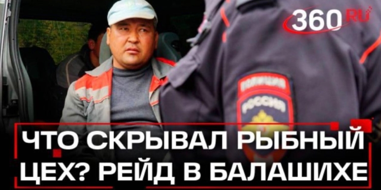 Сотрудники правоохранительных органов провели рейд на рыбном производстве в деревне Черное, где выявили 42 нелегальных мигранта.