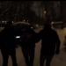 УФСБ России по городу Москве и МО во взаимодействии с МВД России пресечена преступная деятельность гражданина России, который публично призывал к осуществлению действий,направленных против безопасности государства.